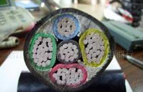 江南交联线缆 低压铝芯电力电缆产品系列高清图解